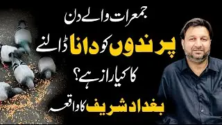 Parindon Ko Dana Dalna Ka Raaz - Neki Ka Sab se Asan Tariqa - Har Bala Se Mehfooz Rehne Ka Amal