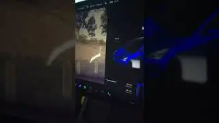 How to check your Sentry Footage in Tesla (Great winning hack!)