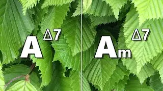 Amaj7 to Am maj7 Backing Track