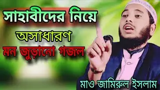 নবীর সাহাবীদের নিয়ে অসাধারণ গজল। বক্তা মাওলানা জামিরুল ইসলাম রহমানী সাহেব । Maulana Jamirul Islam 