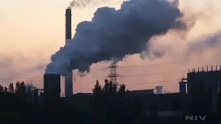 Ecological problems