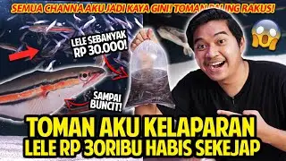 TOMAN AKU KELAPARAN! LELE RP 30RIBU HABIS SEKEJAP! SEMUA CHANNA AKU JADI KAYA GINI! TOMAN TERRAKUS!