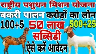 #NLM Goat Subsidy Scheme 👍Bank Loan through NLM राष्ट्रीय पशुधन मिशन स्कीम से बकरी पालन लोन कैसे लें