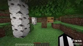 Minecraft bee TwT