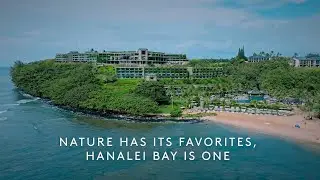Explore 1 Hotel Hanalei Bay