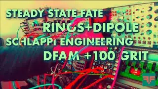 SSF Dipole Stereo Filter & Schlappi 100 Grit Filter Patch with DFAM and Rings - The Sleeper