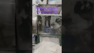 500kg detergent making machine full auto setup