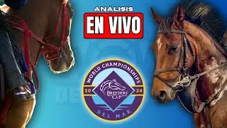 Breeders´ Cup 2024 - Análisis - EN VIVO