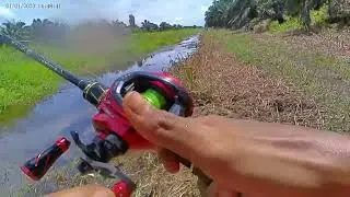 Strike kocolan gabus