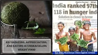 Solutions To Global Hunger Is Edible Weeds - Global Hunger Index 2021 - Audible Weed Walk
