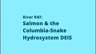 RiverRAT Columbia Snake River DEIS and Salmon