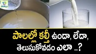 How To Identify Adulerated Milk - Mana Arogyam | Telugu Health Tips
