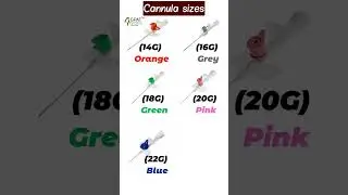 DIFFERENT SIZES OF CANNULA