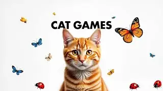 Cat Games  Best Mouse & Bug Chase Compilation Vol 13  4K, 60 fps 🐭