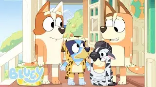 Macac&otilde;es Transformam Bingo em um Selvagem! 🐯💙 | Bluey Portugu&ecirc;s Brasil Canal Oficial