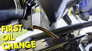 Changing Your Motorcycle’s Oil is Easier Than You’d Expect! (Kawasaki Z900)
