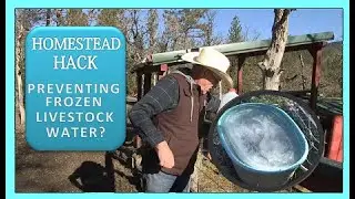HOMESTEAD HACK - Preventing Frozen Livestock Water?