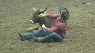 Ty Miller - Steer Wrestling 4.0 Split At The 2019 Maple Leaf Finals