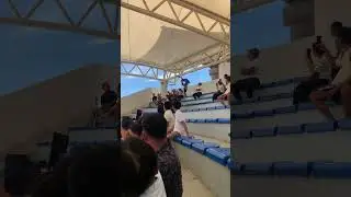 #shortvideo #birdshow