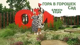 Сад 