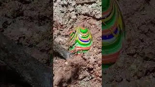 Full video on homepage#gems  #agate#crystal#gold#Gems#diamonds#gold mines#emeralds #pearl