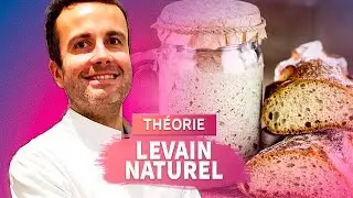 Le levain naturel expliqu&eacute; simplement : tout comprendre pour bien d&eacute;buter 🍞