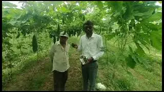 India Agro product 🌾💎