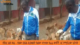 የሸገር ልዩ ወሬ - የሰው በደል ቢበዛበት ከሰው ተነጥሎ ከ44 ውሾች ጋር የሚኖረው ጌትነት