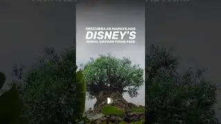 No Disney&rsquo;s Animal Kingdom Theme Park, a natureza e a magia se encontram! 🌎✨