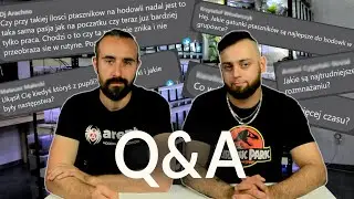 Co hodować w grupówkach? Jak radzić sobie z roztoczami? | Q&A z Krzyśkiem Szychowskim | arent.pl