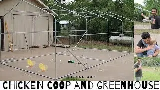 Building Our Chicken Coop and Greenhouse Part 1