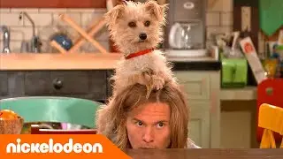 Nicky, Ricky, Dicky & Dawn | Comment cacher une célébrité 🌟🐶 | Nickelodeon France
