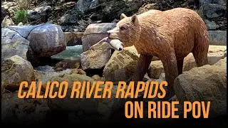 Calico River Rapids POV