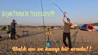 BALIK YAKALADIK, KAMP YAPTIK VE BOL KEYiF ALDIK ..#balık avı #izmir balık avı #surfcasting