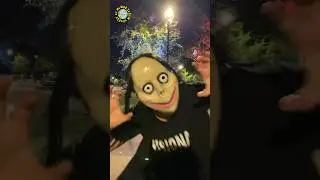 Say Hi to Momo 🖤💀 #halloween #momo #scary #funnyshorts #ayuwoki #parati