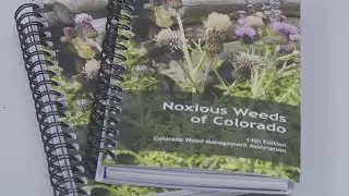 National Invasive Species Awareness Week