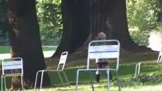 primtec ART MOVIE SERIE 9 Collect chestnuts in the park