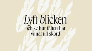 Webbinarier - Religions och &ouml;vertygelsefrihet
