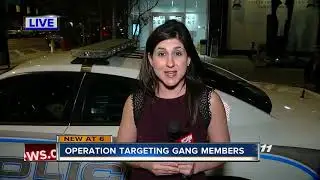 18 gang members arrested on drug,firearm charges