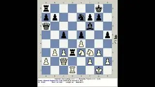 Hammer, Jon Ludvig vs Romsdal, Trond | Barents Region Chess A 2004, Arta Norway