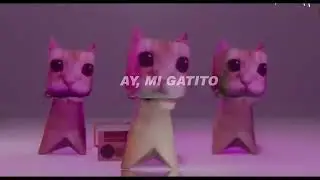 ➡️ “1 HORA ai meu gatinho miau miau TikTok | MONTAGEM MIAU (Letra)”