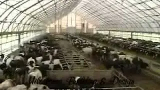 Dairy Barn|Agricultural|Fabric Covered Farm Buildings| 1.360.366.3077