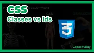 CSS Classes vs Ids | Learn CSS 04