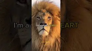 STRIKE like LIGHTNING 😈🔥 ATTITUDE STATUS 🦁🔥motivational video #quotes #sigma #attitude #shorts #lion