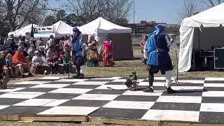 Pete the wonder Dog at Norman OK with the Jester Rejects Medieval Faire #circusdog #rescuedog