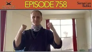Les Bubka - Episode 758 - whistlekick Martial Arts Radio Podcast