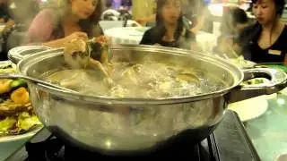 steaming giant sea snails and clams soup