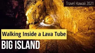 Thurston Lava Tube | Big Island (Travel Hawaii 2021)