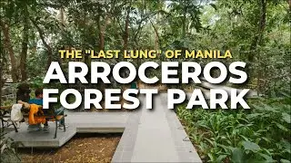 The Last Lung of Manila | Arroceros Forest Park | Ermita, Manila | Walking Tour