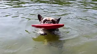 Uschi am Grunewald See - 16. Juni 2025